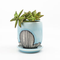 Planter in sky