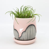 Planter in Charleston