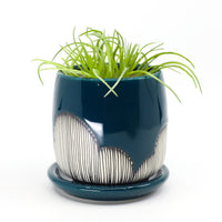 Planter in peacock