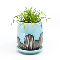 Planter in sky