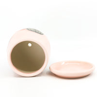 Planter in Charleston
