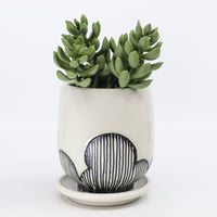 Planter in snow white