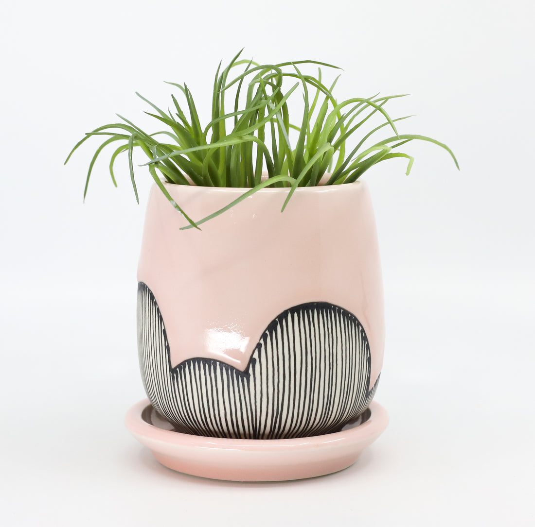 Planter in Charleston
