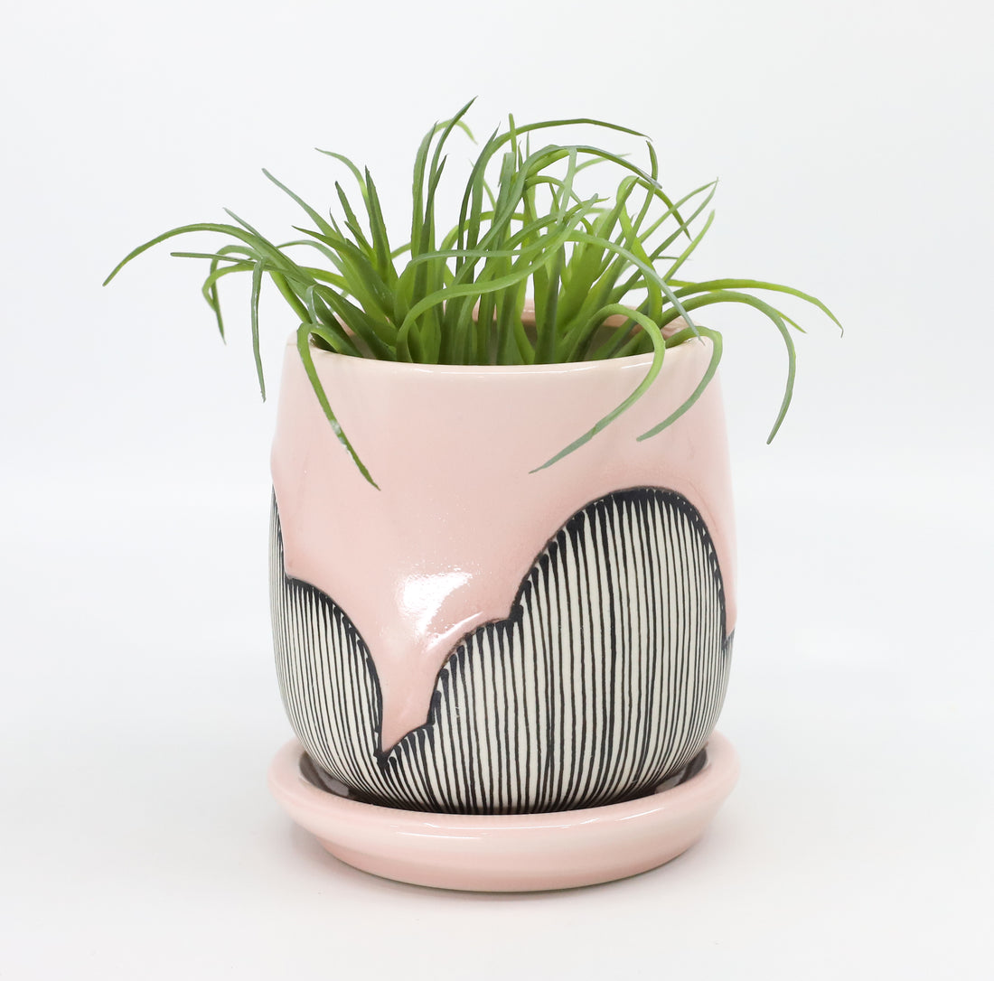 Planter in Charleston