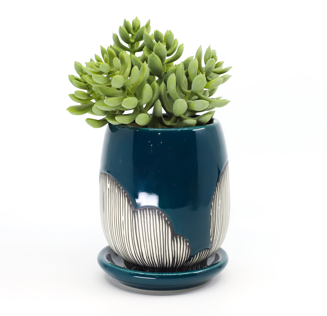 Planter in peacock