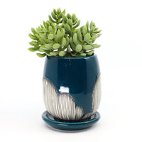 Planter in peacock