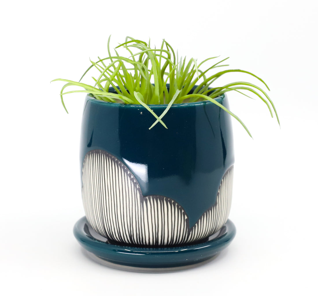 Planter in peacock