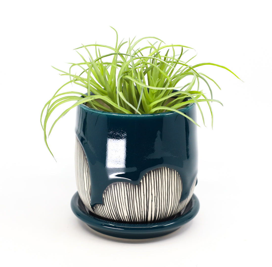 Planter in peacock