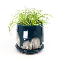 Planter in peacock