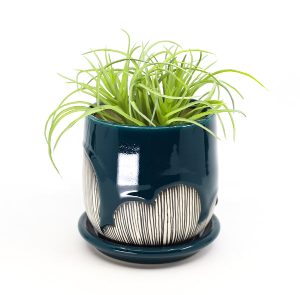 Planter in peacock