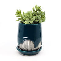 Planter in peacock