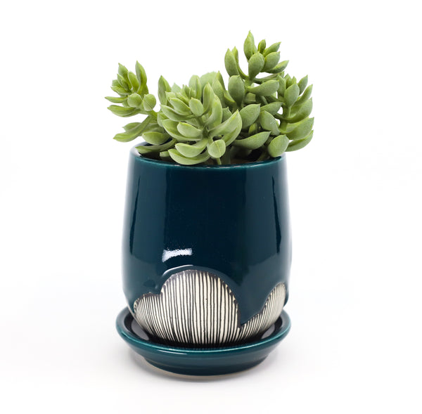 Planter in peacock