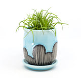 Planter in sky