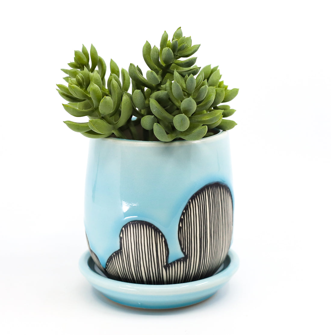 Planter in sky