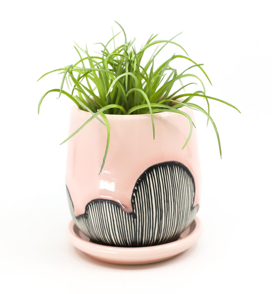 Planter in Charleston